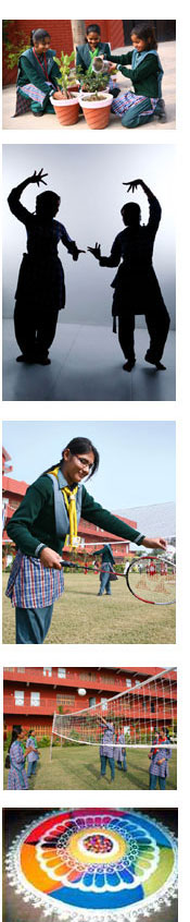 Activites at KBIC